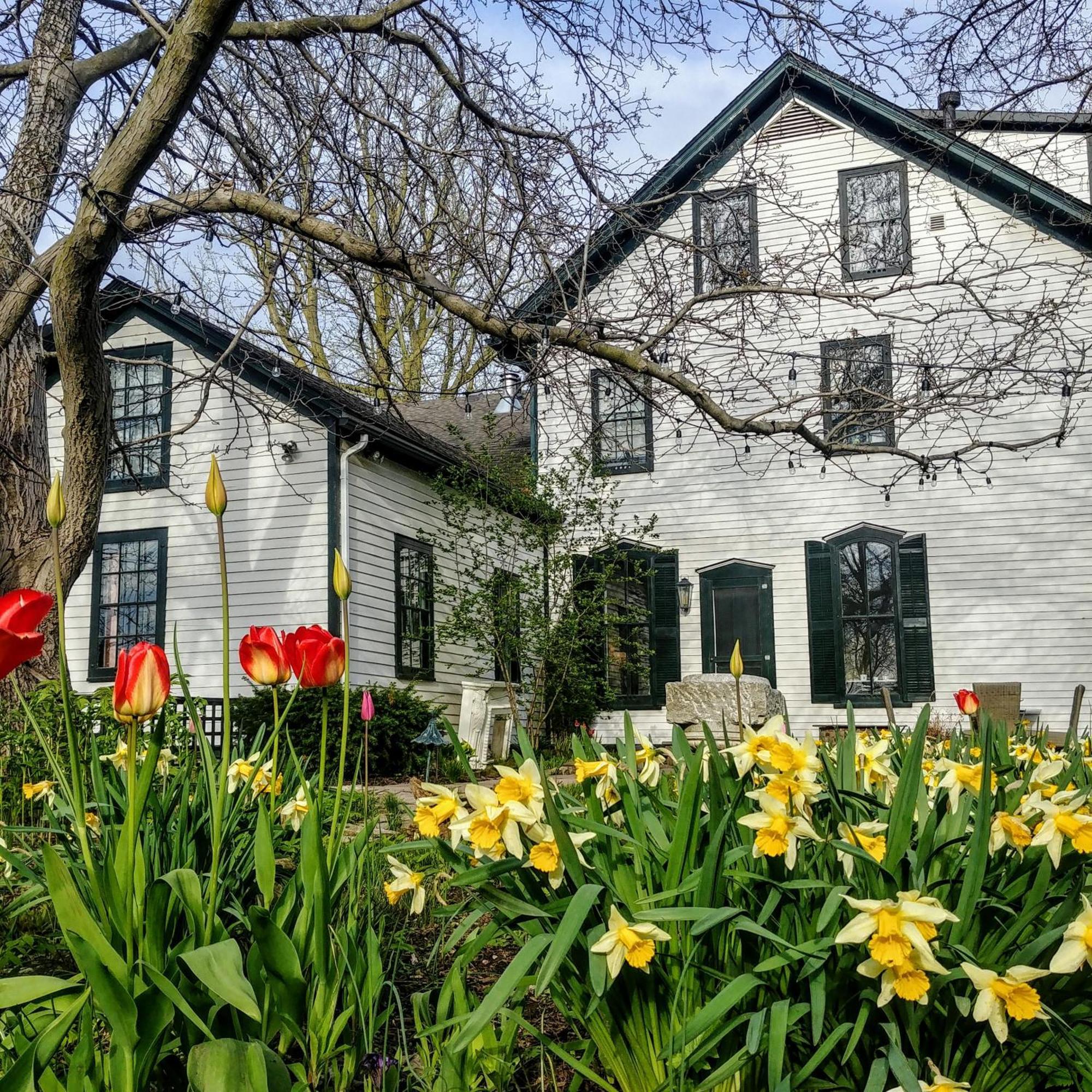 Woodbourne Inn Niagara-on-the-Lake Kültér fotó